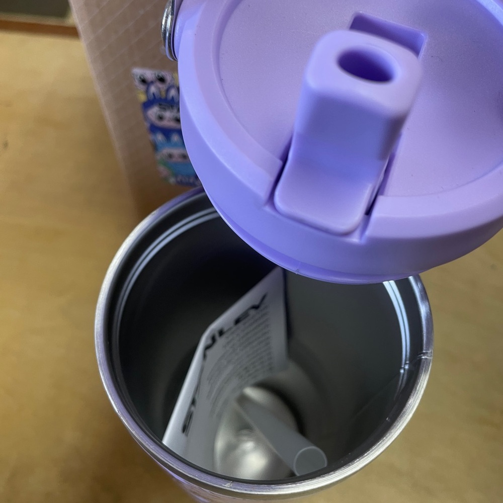 Labubu Stanley IceFlow Flip Straw Tumbler - Picture 3 of 6